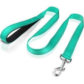 FunTags 4FT Reflective Dog Leash with Soft Padded Handle for Training,Walking Lead for Medium & Small Dogs,3/4 Inch Wide,Turouoise