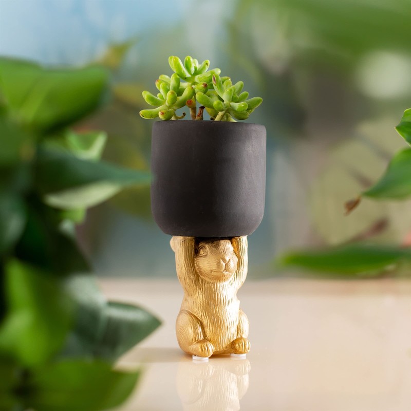 Sass & Belle Golden Rabbit Pedestal Planter