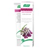 A.Vogel A.Vogel Comfrey Symphytum Cream | Day & Night Cream