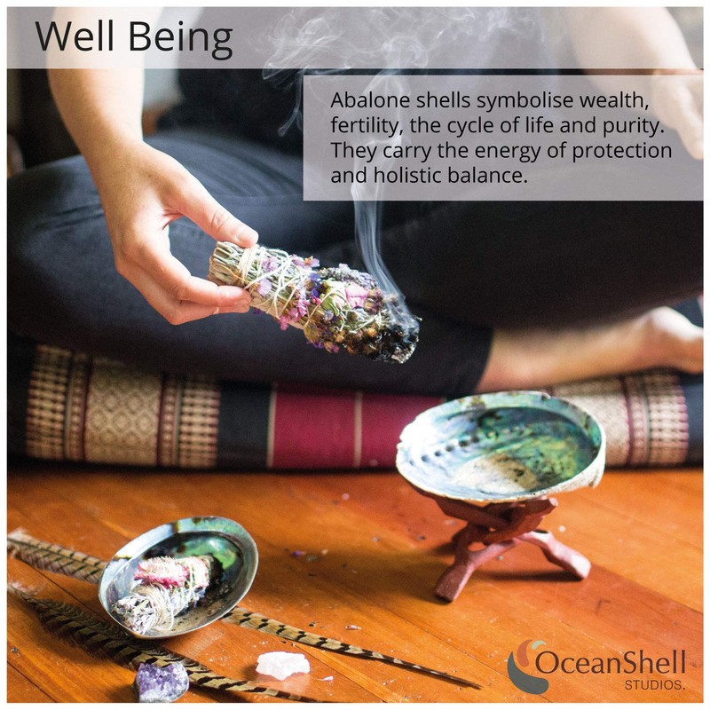 Natural Abalone (Pāua) Shell, with Stand,6-6.5 Inches,Supreme for Smudging,Cleansing Home,Meditation,Shell