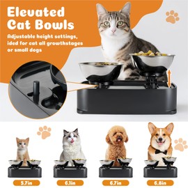 OSORD Cat Bowls - 15° & 0° Tilted & 4 Levels Elevated Cat 304 Stainless Steel Bowl Dishes - Anti Vomiting Raised Pet Food Water Bowls for Cats Dogs, Non-Slip Base Kitten Puppy Bowl