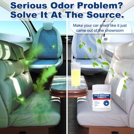 Chlorine Dioxide Odor Removal - Professional Smoke & Pet Odor Remover for Cars, Homes, Carpets & Offices - Fast-Acting, 1-Pack (1.1 lb)