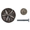 Sand Dollar Drawer Knob, Beach Cabinet Pull, Solid Metal, Oil