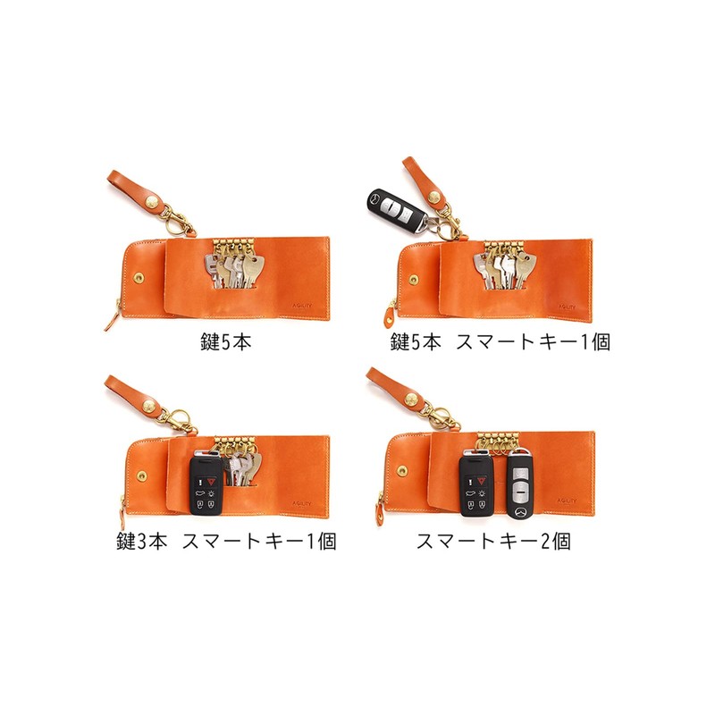 Agility affa Ambruget II Key Case, Smart Key Compatible, 2