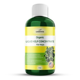 GARDENWISE Organic Premium Kelp Seaweed Concentrate for Hoya - Liquid Fertilizer - Liquid Plant Food - Nutrient-Rich Soil Enhancer - Natural Plant Food for Hoya Plant (8 OZ)