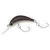 DAIWA Trout Caterpillar, Brown Glow