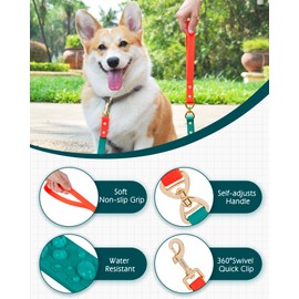 PetBonus No Tangle Waterproof Dog Leash, 5 FT Odor Proof Walking Training Lead, Non-Slip and Easy to Clean Puppy leashes for Small Medium Breeds Dogs (Orange & Turquoise, S