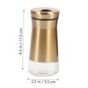 GRIRIW 2Pcs Reusable Condiment Bottles Seasoning Jars for for Home