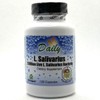 Daily's L Salivarius Probiotic Supplement 120 Capsules Vegan Gluten Free