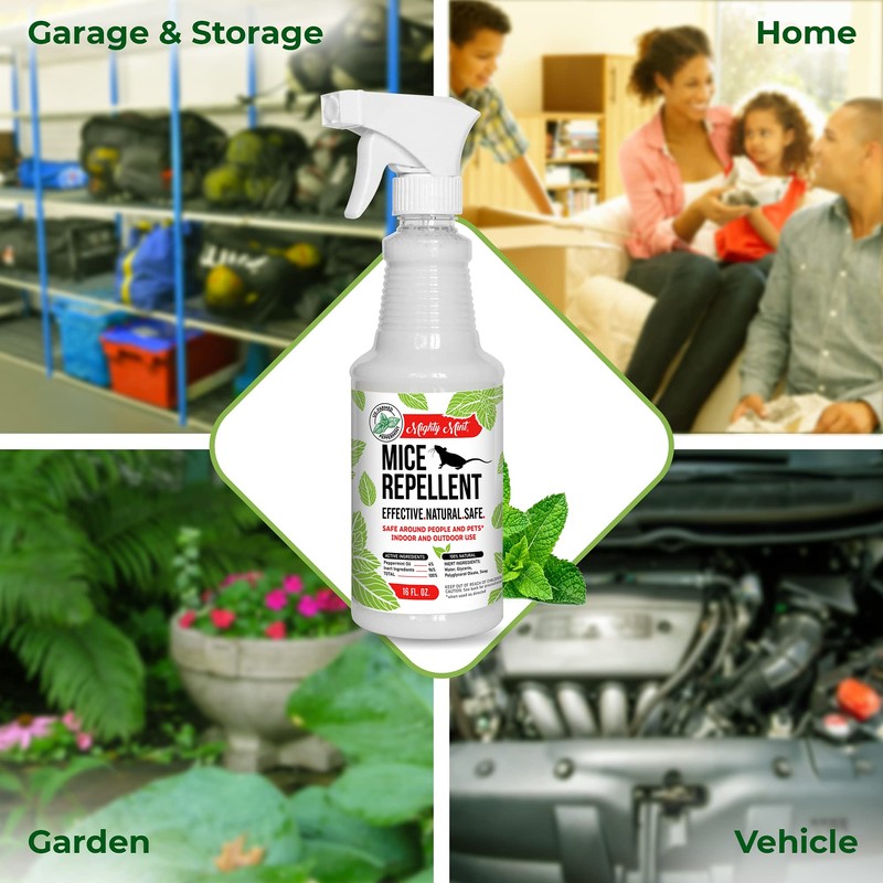 Mighty Mint Peppermint Oil Mouse Repellent Spray – Natural Indoor