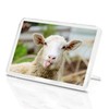 Funny Sheep Classic Fridge Magnet - Cheeky Lamb Farm Animal