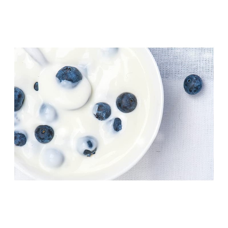 Birch & Meadow Yogurt Powder, 1.5 lb, Made from Non-fat