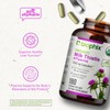 biophix Milk Thistle USDA Organic 30:1 Extract 7500 mg with