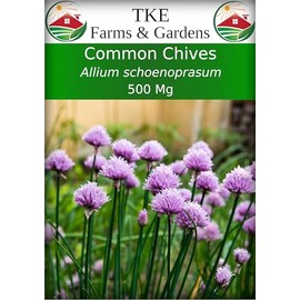 TKE Farms & Gardens - Common Chive Seeds for Planting, 500 mg, 150 Heirlooom Seeds, Non-GMO, Instructions Included, Allium schoenoprasum, Qty 1