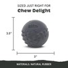 Barkbox Super Chewer Tough Dog Chew Toys for Aggressive Chewers,