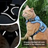 Cat Harness, Cat Harness and Leash for Walking, Escape Proof