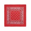 Laciteinterdite Set of 3 Paisley Bandanas for Men and Women,
