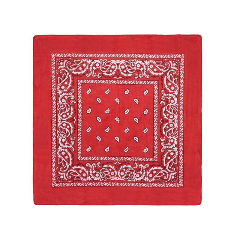 Laciteinterdite Set of 3 Paisley Bandanas for Men and Women,