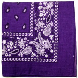 Kaiser Novelty Bandanas Paisley Cotton Bandanas (Dark Purple 22 X 22 in)