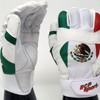 RCP Mexico Flag Baseball and Softball Batting Gloves – Rip