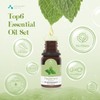 ASAKUKI Essential Oils Set, Starter Kit Oils for Diffusers for