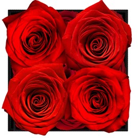 TEGOVE Rose Box, 4 Preserved Roses, Infinity Roses Eternal Rose, Eternal Rose Box, with Greeting Card, Gifts for Women for Valentine's Day, Mother's Day, Birthday, Wedding Day, Christmas