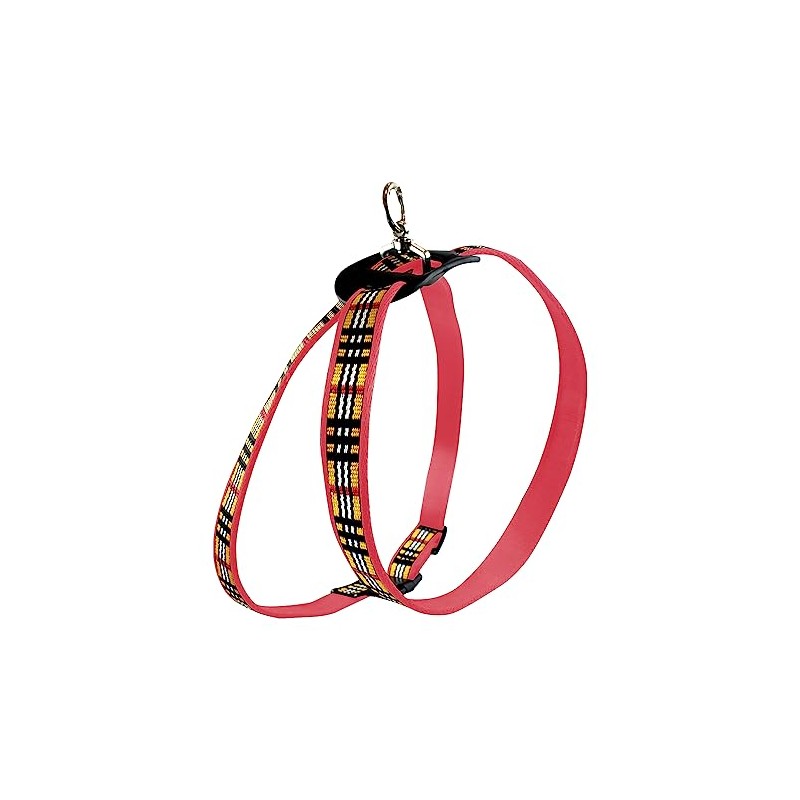 Fancy Pets Arnés Berrydog Color Rojo Tamaño Mediano para Perro