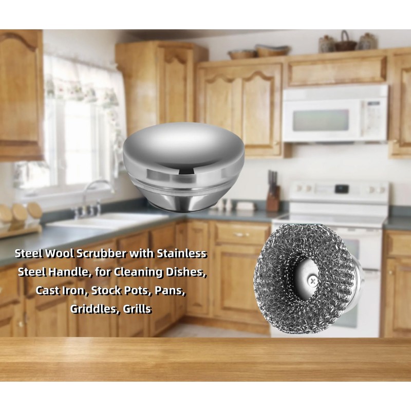 Stainless Steel Scrubber for Dishes with Stainless Steel Handle, Steel