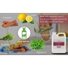 Naeterra Aromatherapy All-Purpose Cleaning Concentrate – 32 oz Bundle |