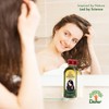 Dabur Maha Bhringraj Herbal Ayurvedic Hair Oil – Infused with