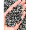 GAF TREASURES 2 oz Lot Natural Semi Tumbled Gemstone Chips,