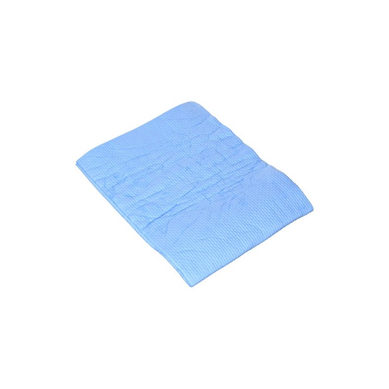 Aion Cleaning Cloth Plus Seine R Blue