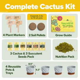 HOME GROWN Bonsai Tree Kit: Unique Christmas Gifts for Men - Bonsai Starter Kit w/ 6 Seed Varieties - Unique Designed Pots - All-in-One Craft Kit for Adults for Gardeners & Plant Lovers