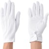 Kachiboshi #211 Nylon White Gloves, With Hooks, S