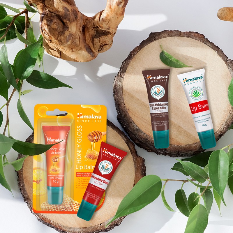 Himalaya Honey Gloss Lip Balm 10g - Honey Gloss Lip