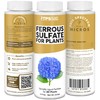 Ferrous Sulfate for Plants, Complete Iron and Sulfur Supplement for