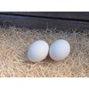 Ceramic Chicken Nesting Eggs (White) - Fake Training Eggs for