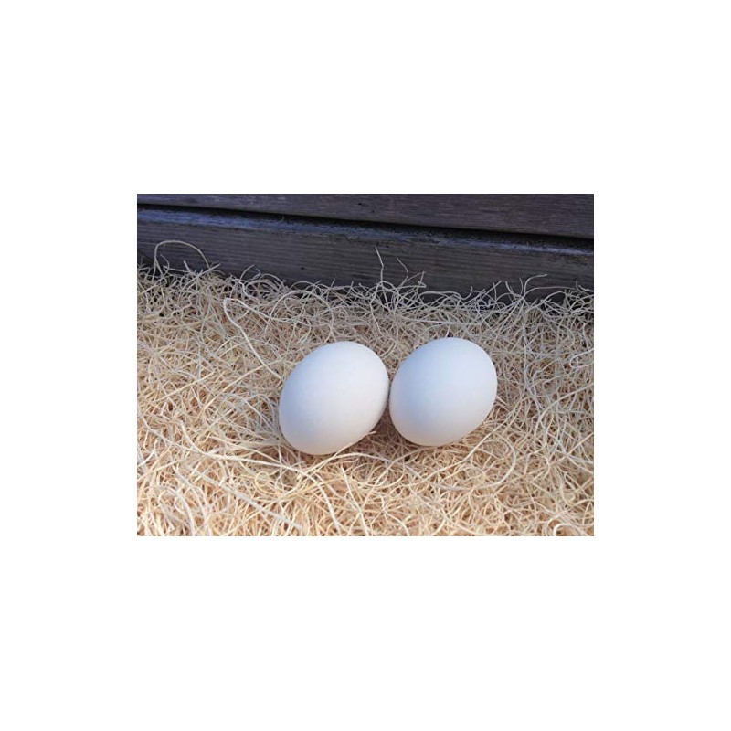 Ceramic Chicken Nesting Eggs (White) - Fake Training Eggs for