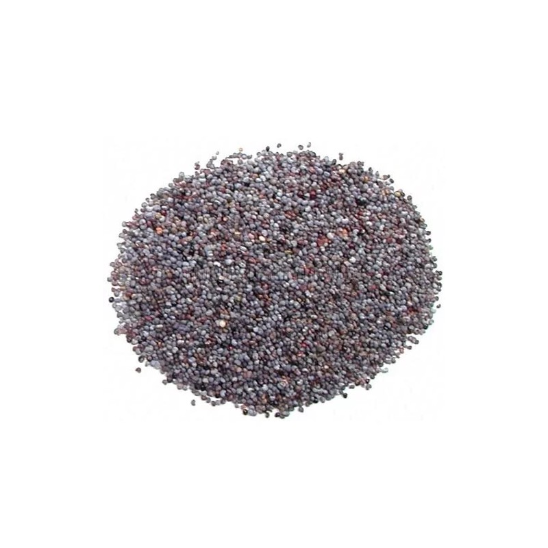 AIVA Blue Poppy Seeds - 10 lb Bulk