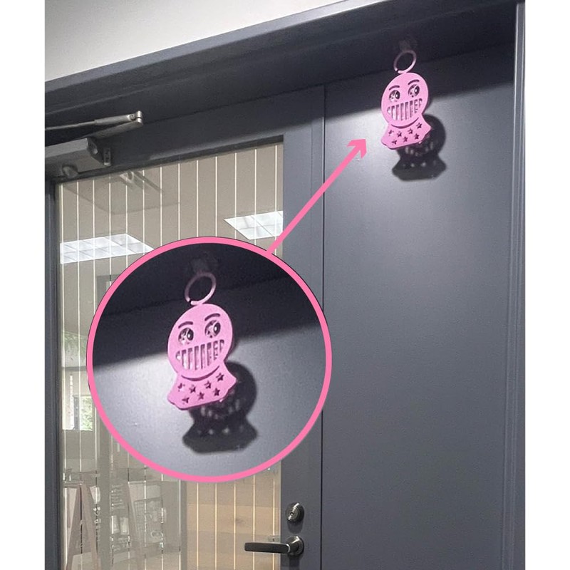 For Ceilings! No Drilling Required! Decorative Hooks for Smooth Surfaces