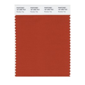 Pantone 18-1355 TCX Smart Color Swatch Card, Rooibos Tea