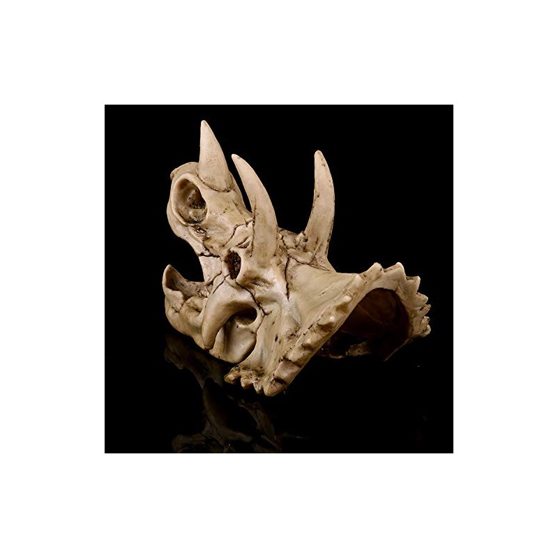 VOANZO Resin Triceratops Skull Model Replica, Dinosaur Tooth Skull Fossil,