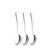 Qinglele Stainless Steel 304 Spoon, Soup Spoon, Dinner Spoon, Tablespoon,