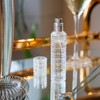 Viski Martini Atomizer Perfect for Vermouth or Bitters, Travel Spray