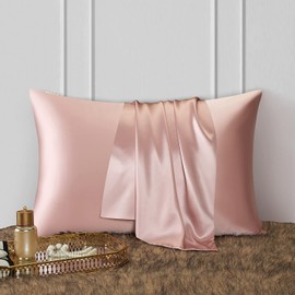 DISANGNI 100% Natural Mulberry Silk Pillow case for Hair and Skin with Hidden Zipper 22 Momme Both Sides Real Silk Pillow Case (2pc Queen Size 20" x30", Pink)