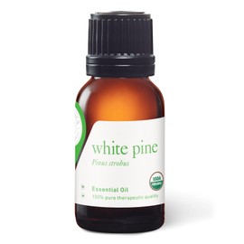 Aromatics International Aromatics International Pure Organic White Pine Essential Oil 15ml | Organic Essential Oils