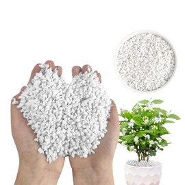 2 Quarts Organic Horticultural Perlite for Plants Natural Horticultural Soil Additive Conditioner Mix Improve Drainage and Ventilation, Promote Root Growth and Soil Health (2QT)