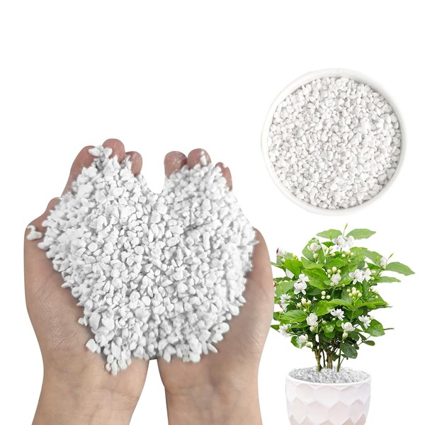2 Quarts Organic Horticultural Perlite for Plants Natural Horticultural Soil