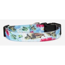 Shaka's Salty Paws Boy & Girl Dog Collar Small Medium Large (Small Dog Collar Adj. 10-16" for Dogs up to 25 lbs, Turtles Dog Collar D. Friel)