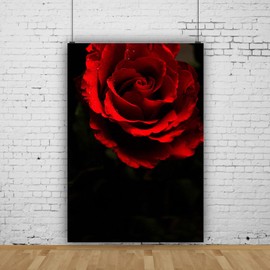 Generic Black Red Rose Texture Backdrop Red Flowers Abstract Portrait Headshot Backgrounds for Photoshoot,Adult Professional Portrait Photo Video Studio Booth Props Vinyl 5x7ft